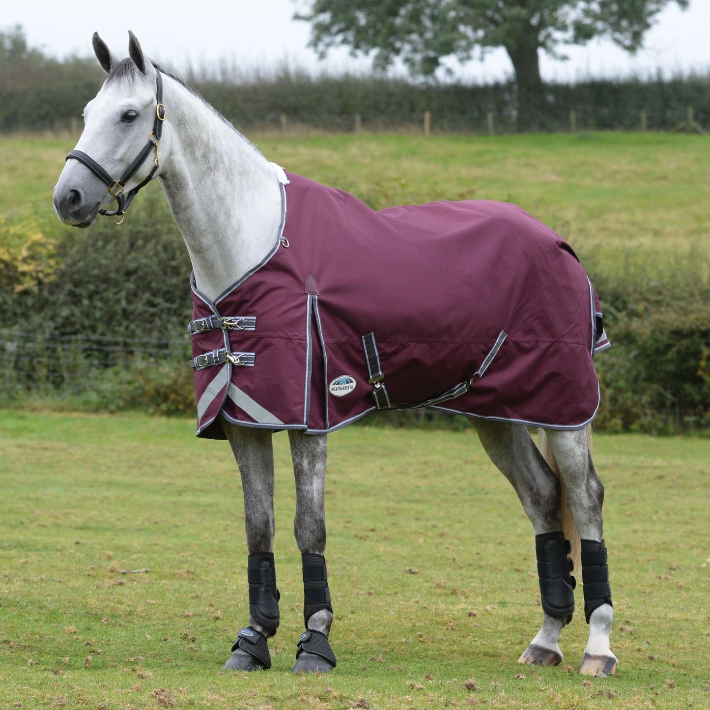 Weatherbeeta ComFiTec Plus Dynamic II Standard Lite Maroon/Grey/White