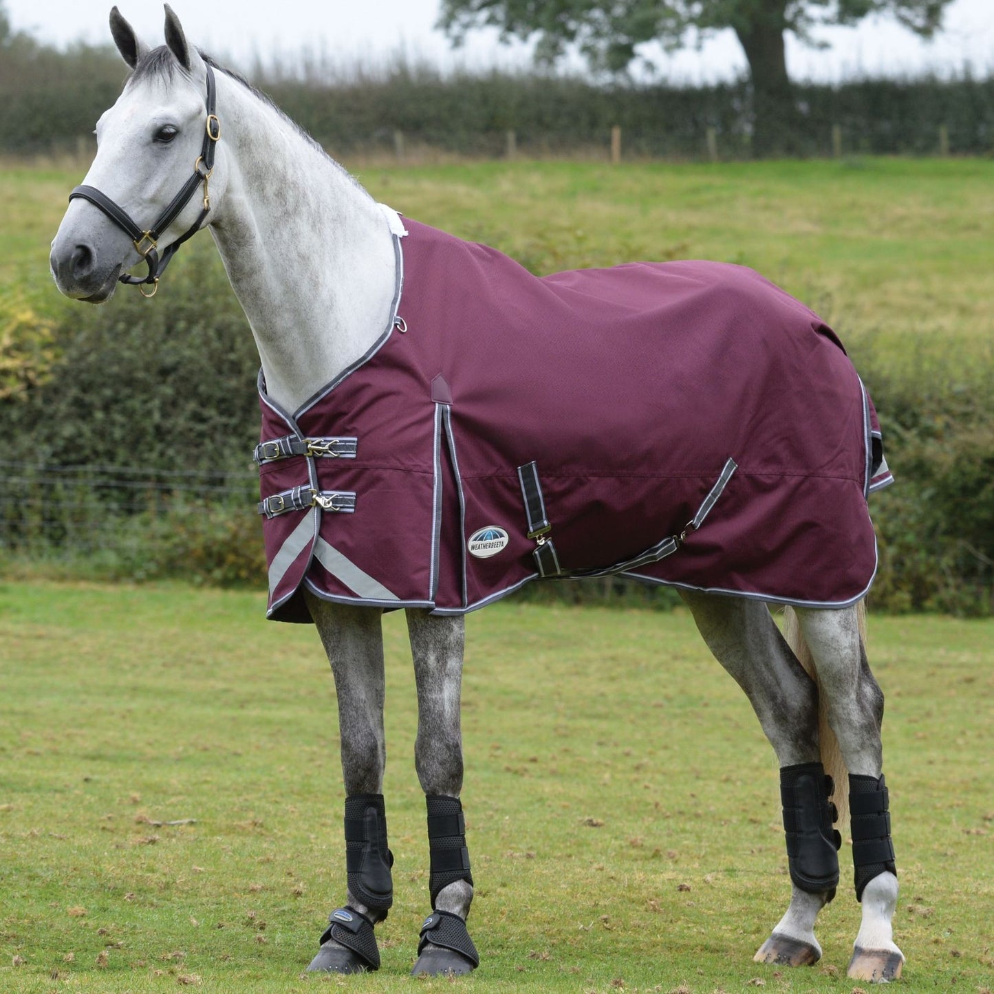 Weatherbeeta ComFiTec Plus Dynamic II Standard Medium/Lite 100g Maroon/Grey/White