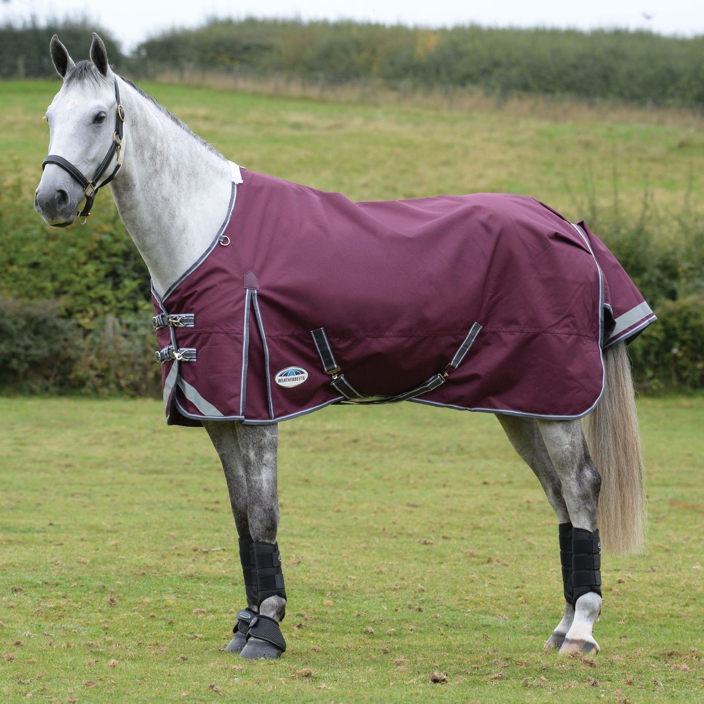 Weatherbeeta ComFiTec Plus Dynamic II Standard Medium Maroon/Grey/White
