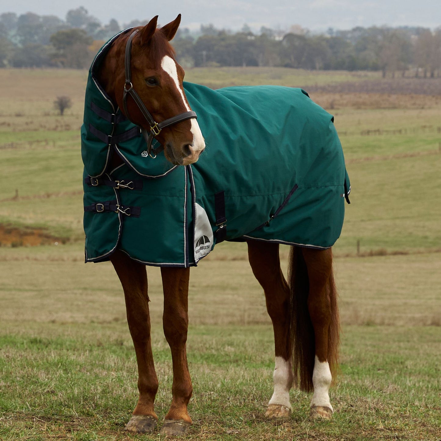 Weatherbeeta ComFiTec Plus Dynamic Turnout Detach-A-Neck 220g Forest Green/Navy