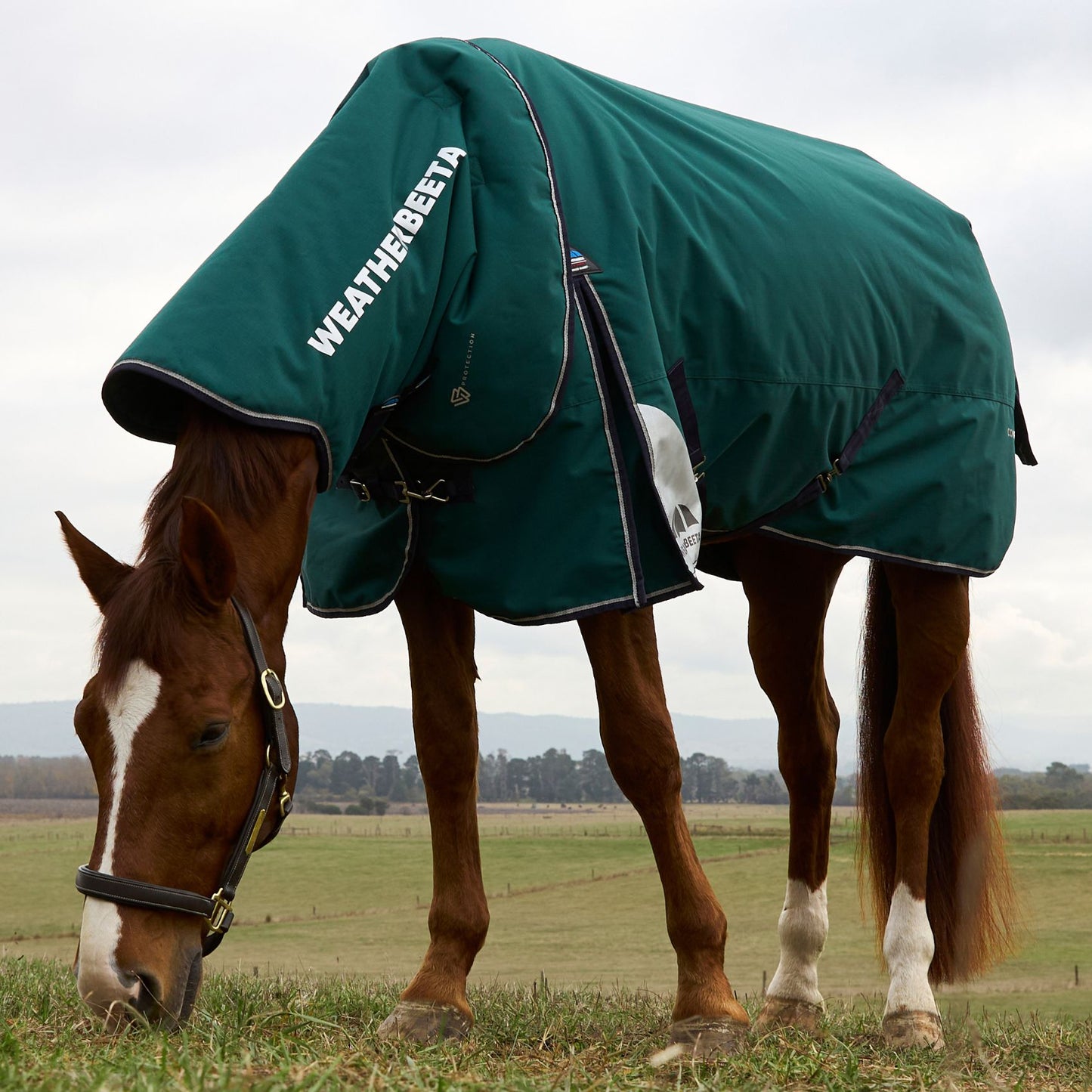 Weatherbeeta ComFiTec Plus Dynamic Turnout Detach-A-Neck 100g