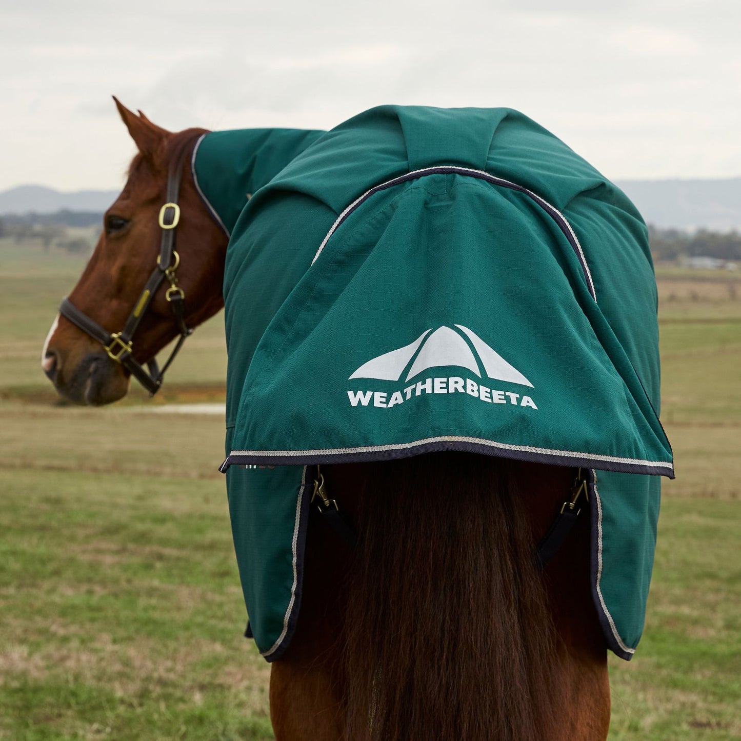 Weatherbeeta ComFiTec Plus Dynamic Turnout Detach-A-Neck 0g Forest Green/Navy