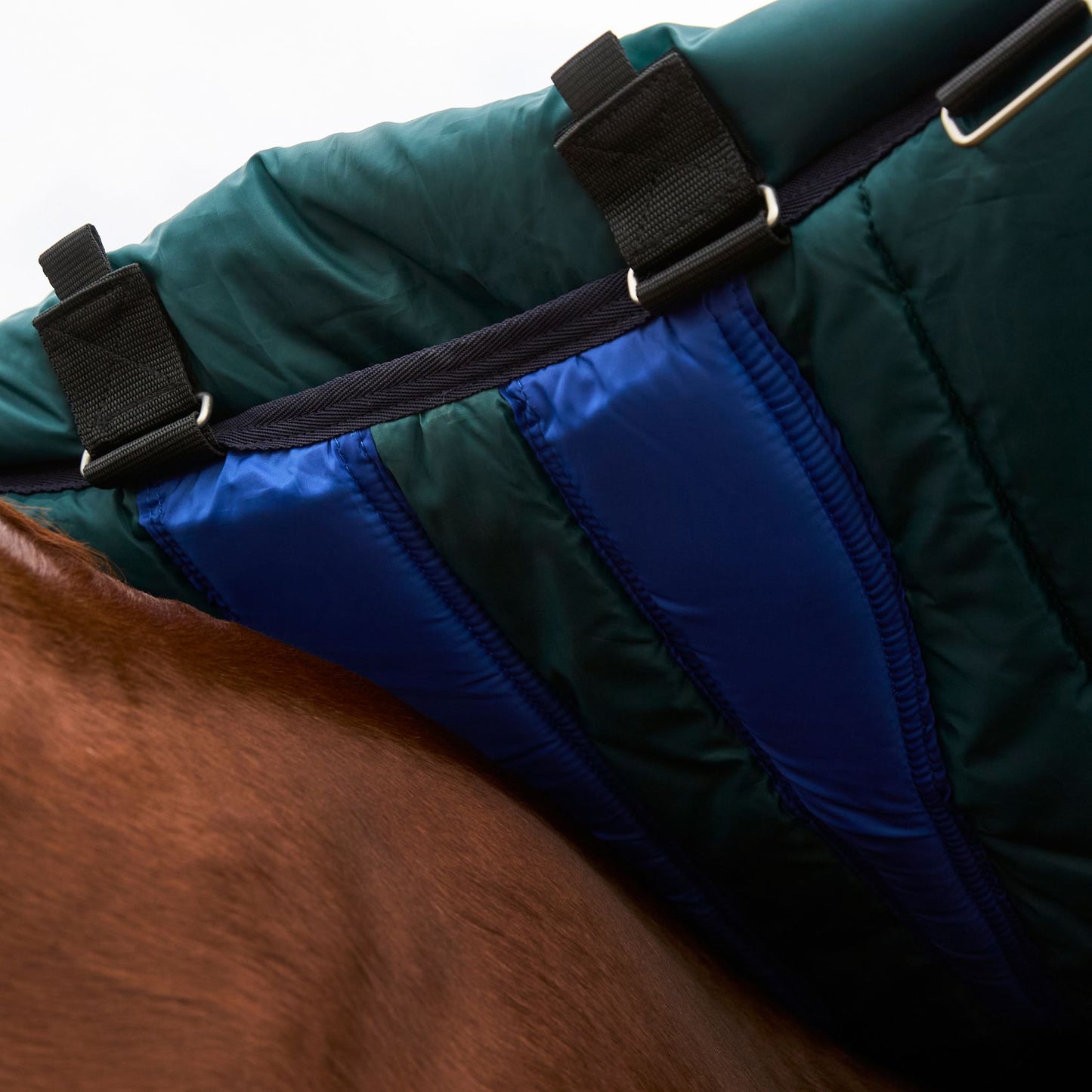 Weatherbeeta ComFiTec Plus Dynamic Turnout Detach-A-Neck 220g Forest Green/Navy