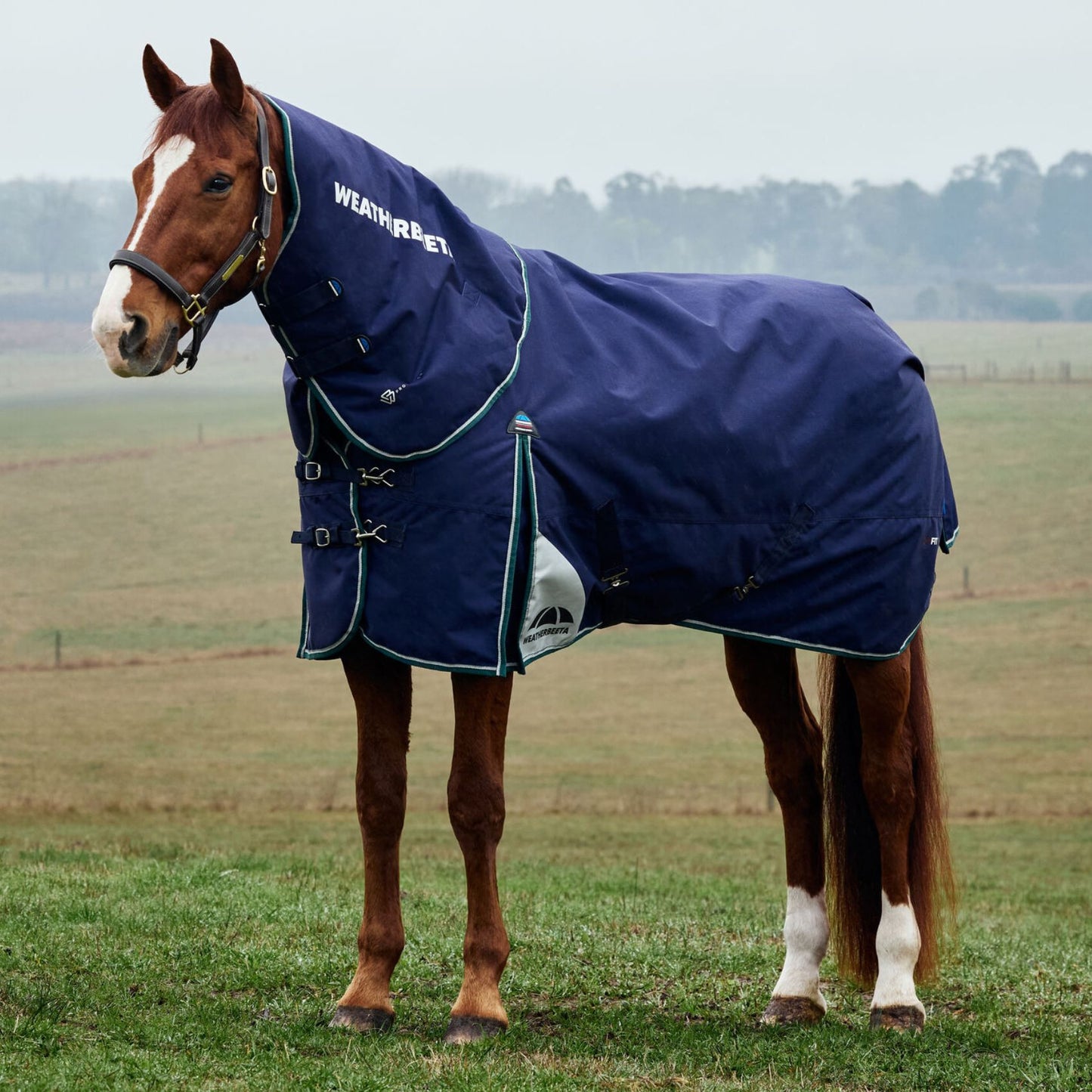 Weatherbeeta ComFiTec Plus Dynamic Turnout Detach-A-Neck 100g