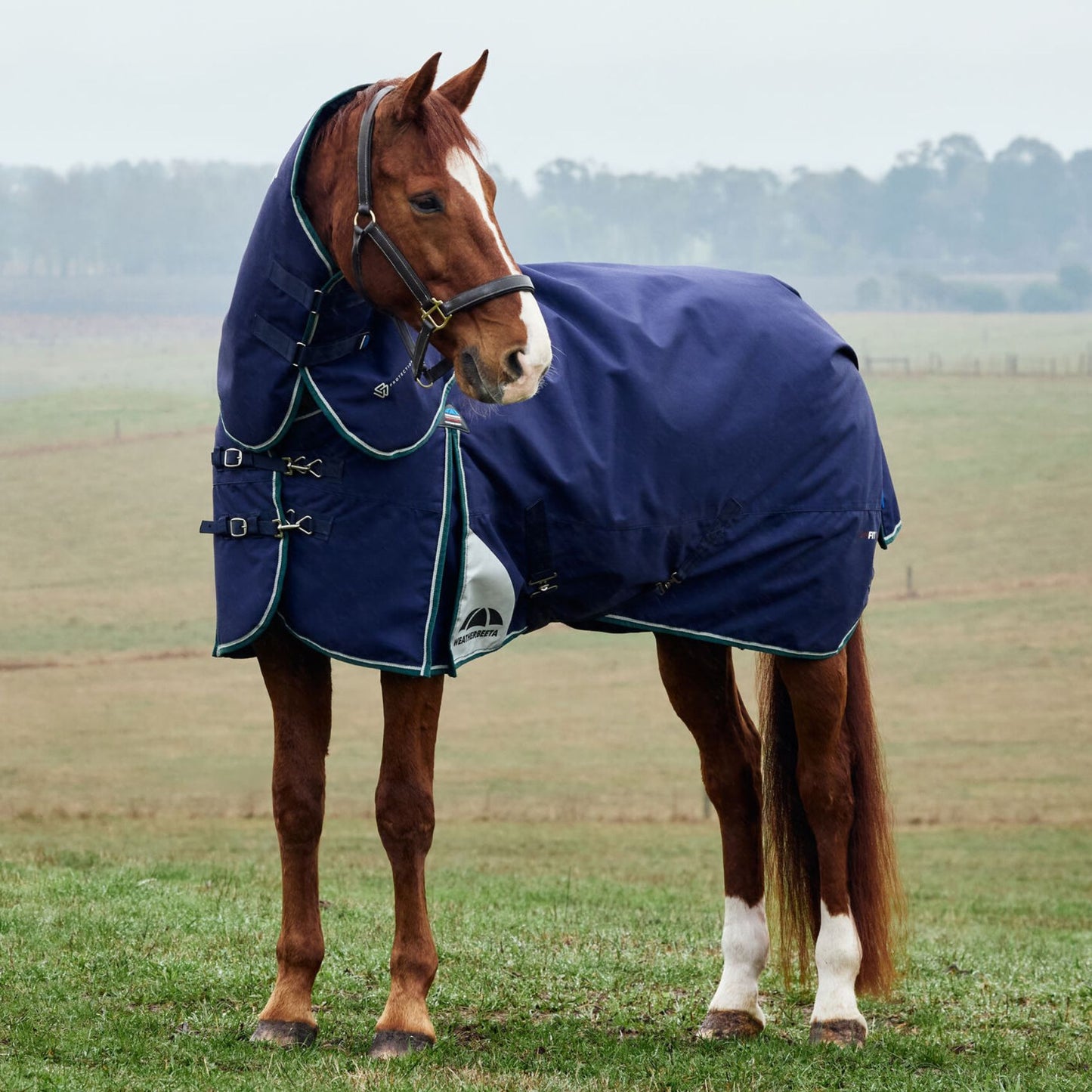 Weatherbeeta ComFiTec Plus Dynamic Turnout Detach-A-Neck 100g