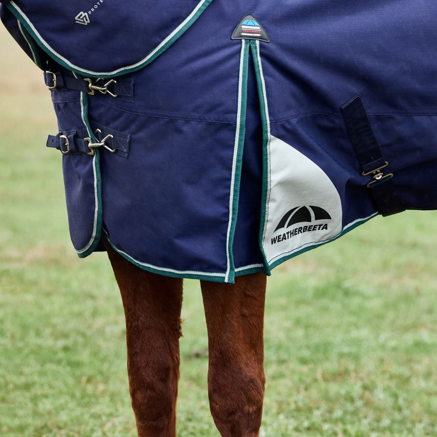 Weatherbeeta ComFiTec Plus Dynamic Turnout Detach-A-Neck 100g