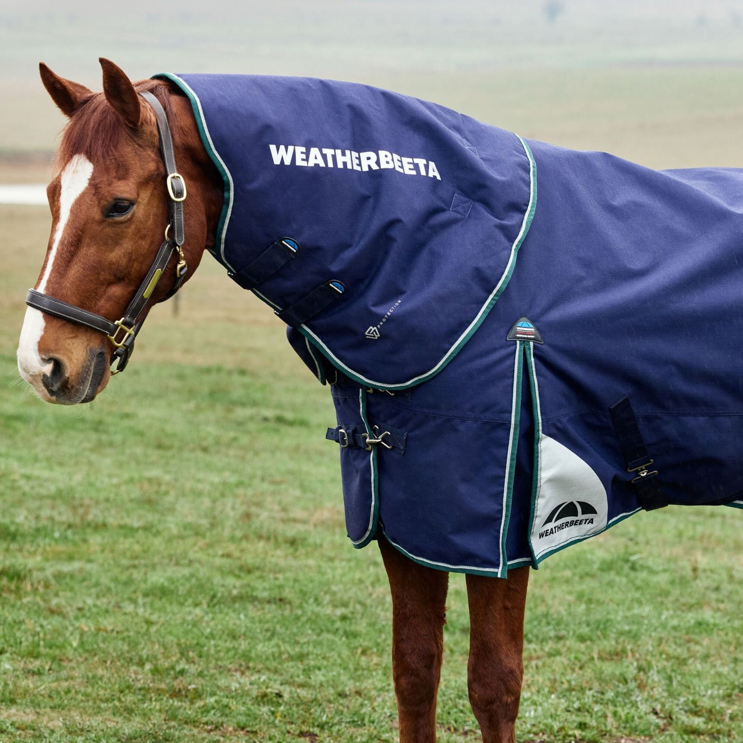Weatherbeeta ComFiTec Plus Dynamic Turnout Detach-A-Neck 100g