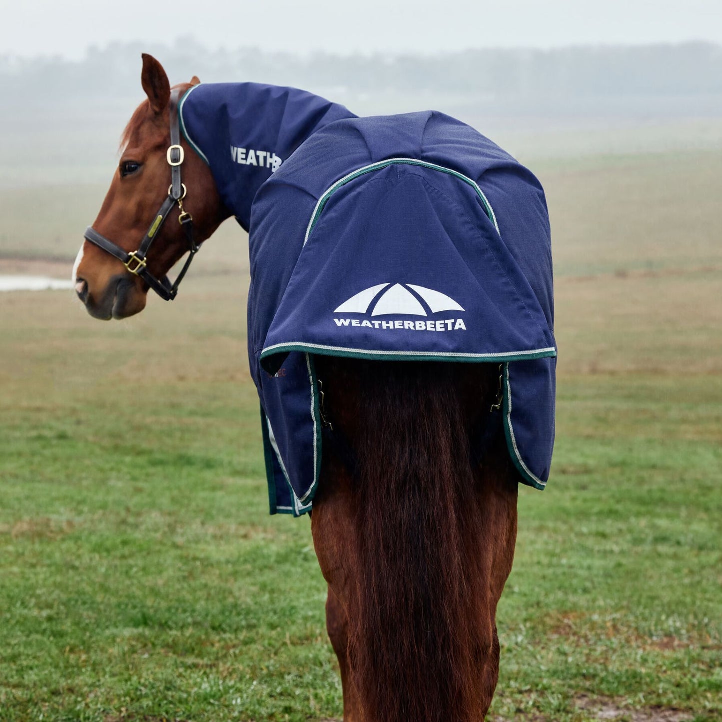 Weatherbeeta ComFiTec Plus Dynamic Turnout Detach-A-Neck 100g