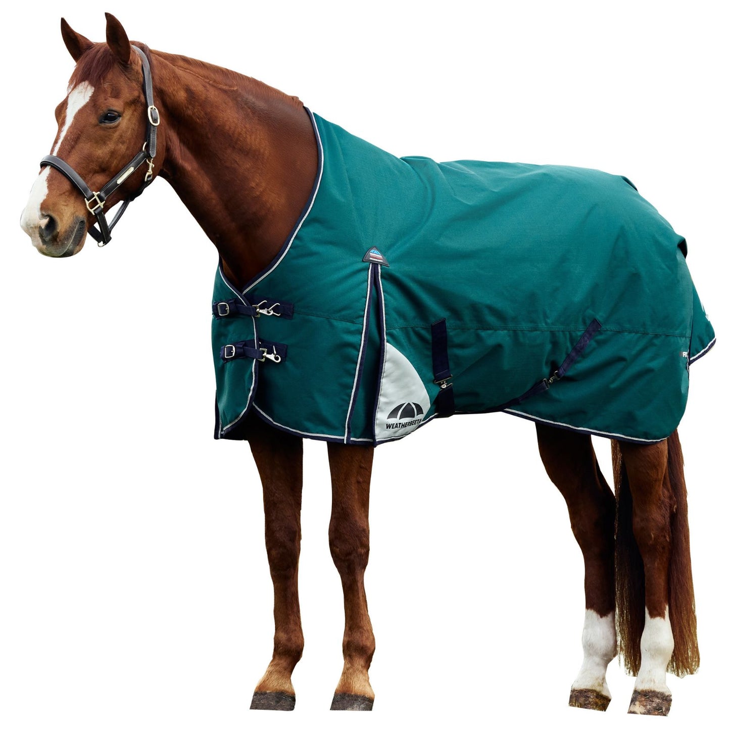 Weatherbeeta ComFiTec Plus Dynamic Turnout 220g Forest Green/Navy