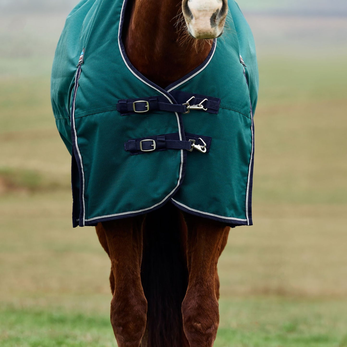 Weatherbeeta ComFiTec Plus Dynamic Turnout 220g Forest Green/Navy