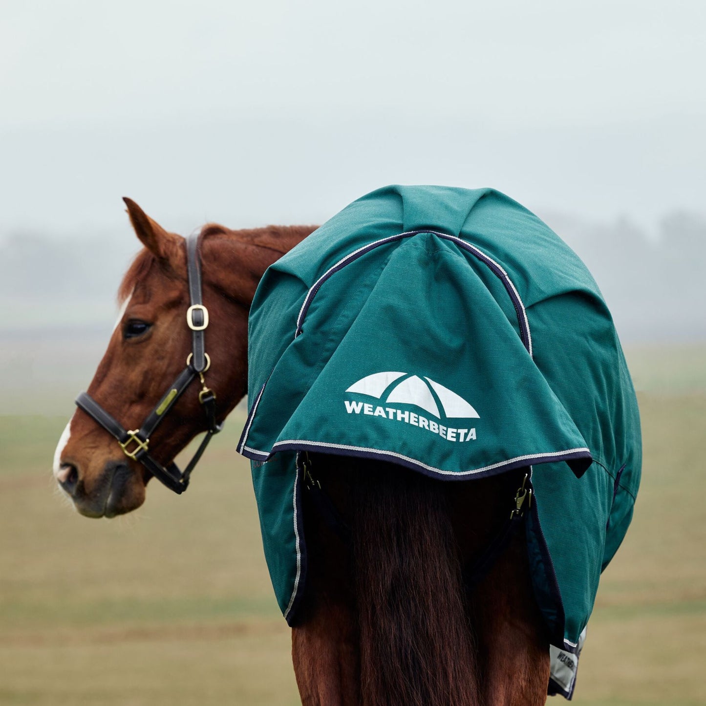 Weatherbeeta ComFiTec Plus Dynamic Turnout 220g Forest Green/Navy