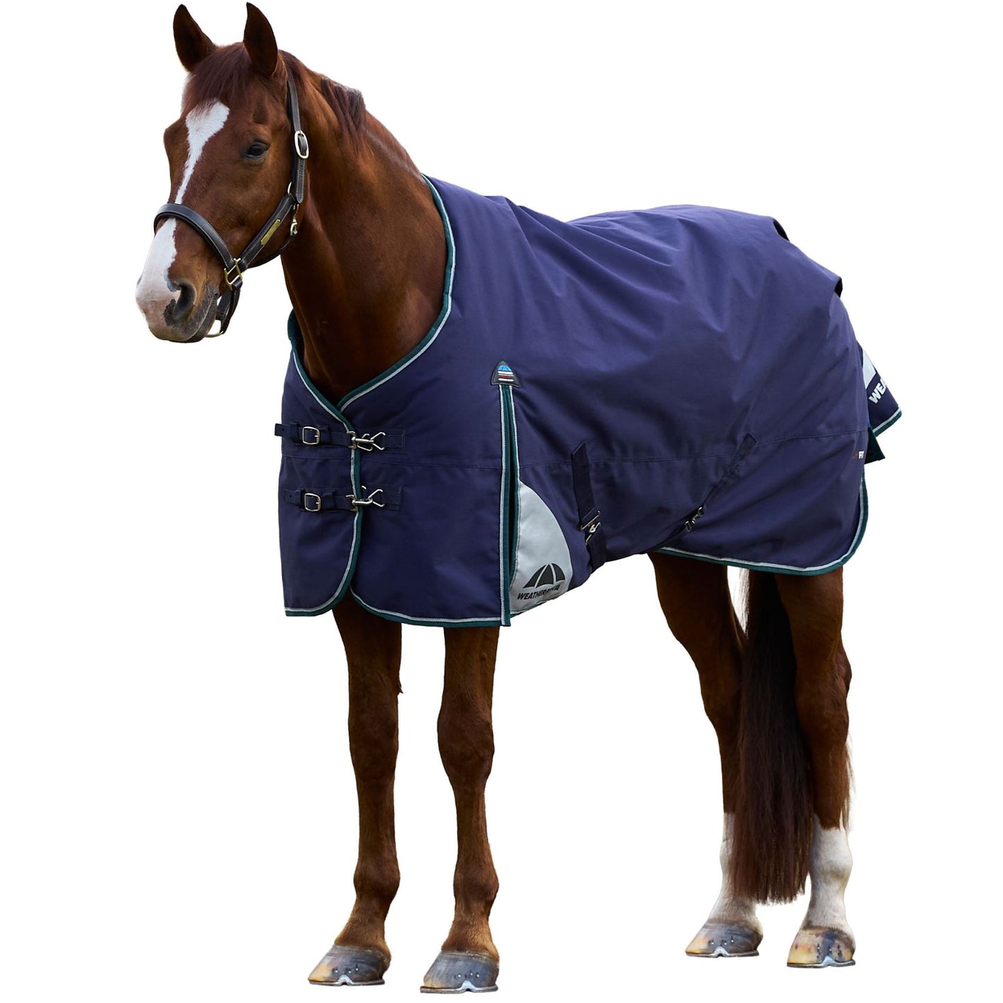 Weatherbeeta ComFiTec Plus Dynamic Turnout 100g Navy/Forest Green