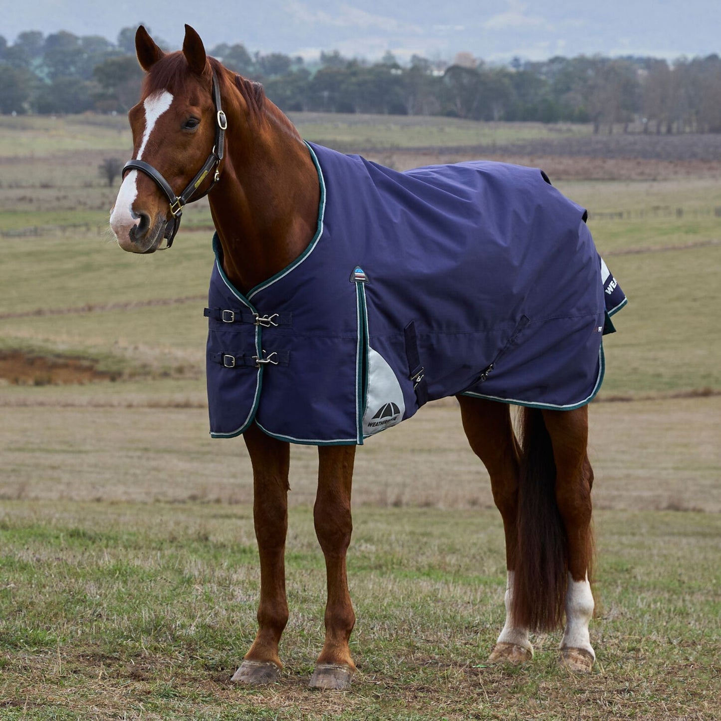 Weatherbeeta ComFiTec Plus Dynamic Turnout 100g Navy/Forest Green