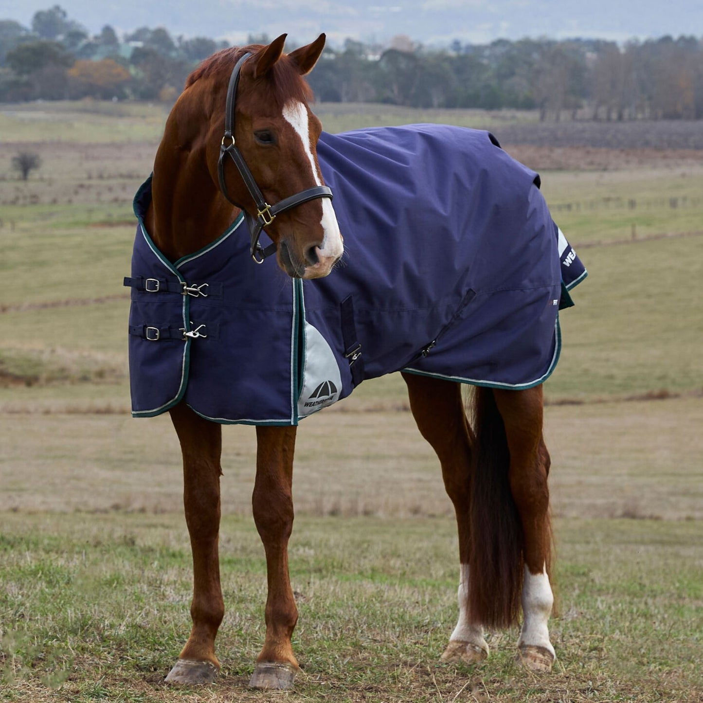 Weatherbeeta ComFiTec Plus Dynamic Turnout 100g Navy/Forest Green