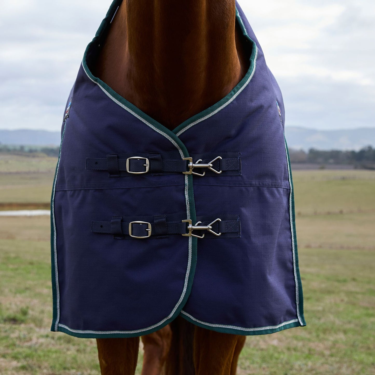 Weatherbeeta ComFiTec Plus Dynamic Turnout 100g Navy/Forest Green