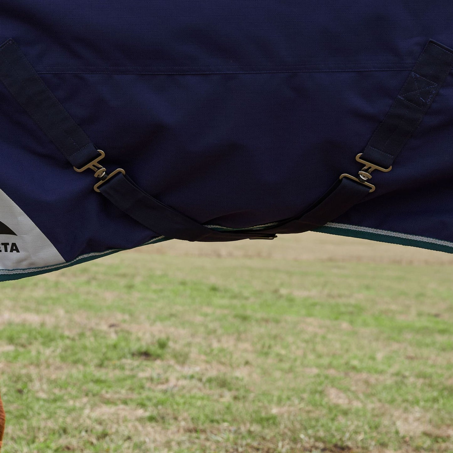 Weatherbeeta ComFiTec Plus Dynamic Turnout 100g Navy/Forest Green