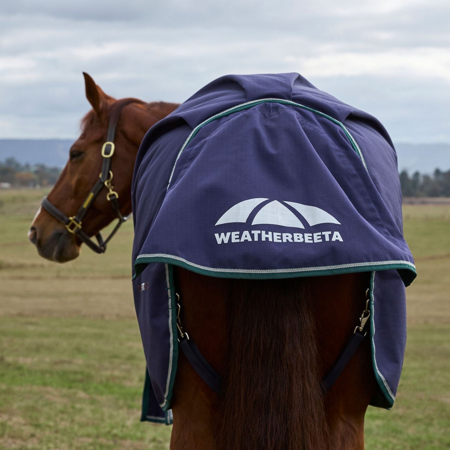 Weatherbeeta ComFiTec Plus Dynamic Turnout 100g Navy/Forest Green
