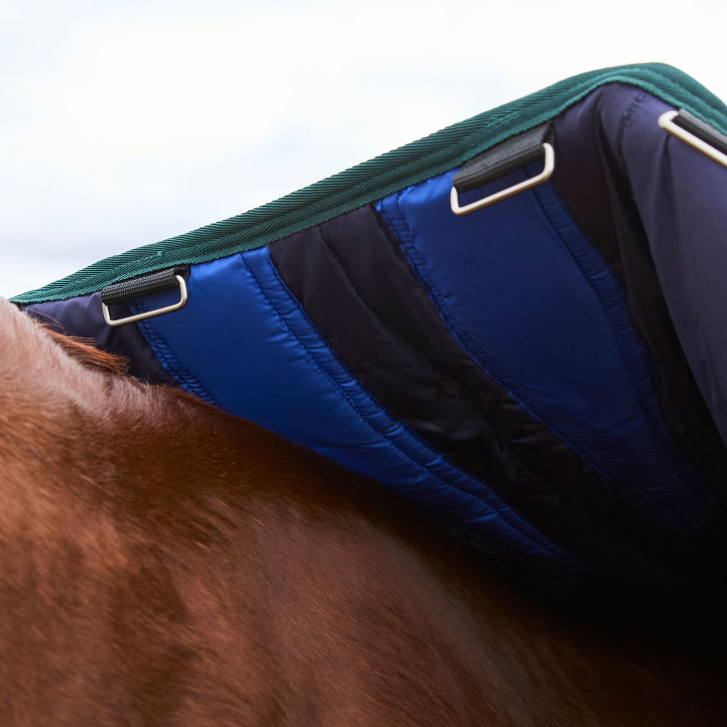 Weatherbeeta ComFiTec Plus Dynamic Turnout 100g Navy/Forest Green
