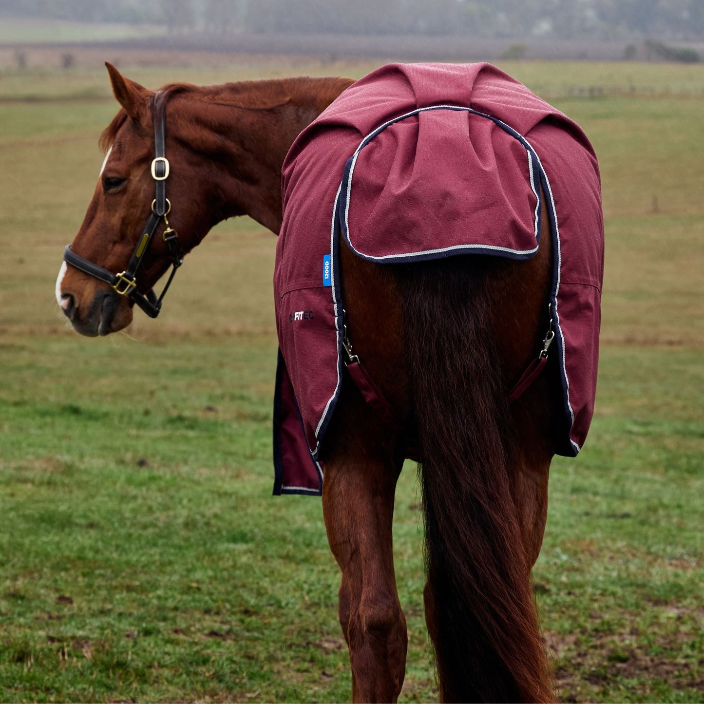 Weatherbeeta ComFiTec Prelim Turnout 0g