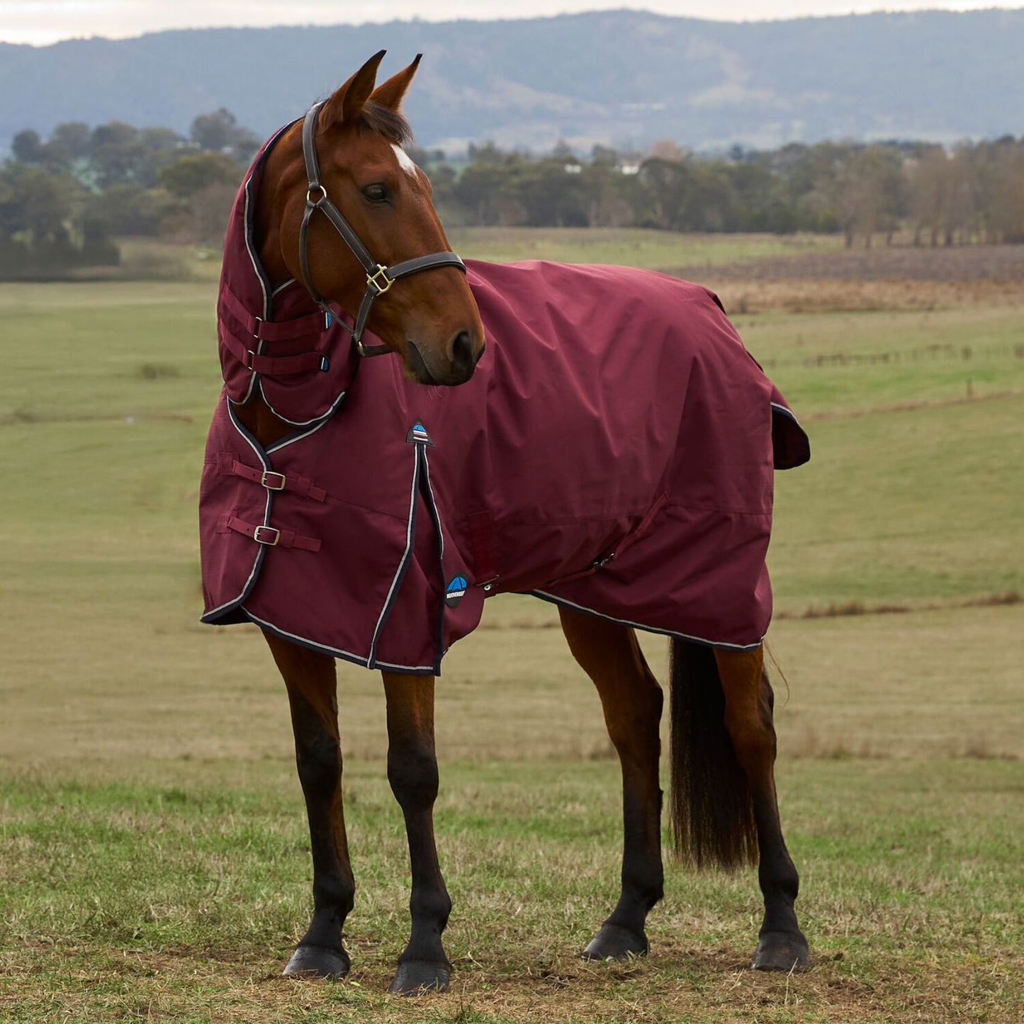 Weatherbeeta ComFiTec Prelim Turnout Combo 220g
