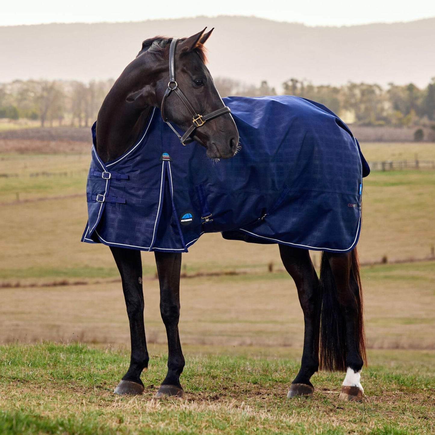 Weatherbeeta ComFiTec Prelim Turnout 220g Navy Embossed Plaid