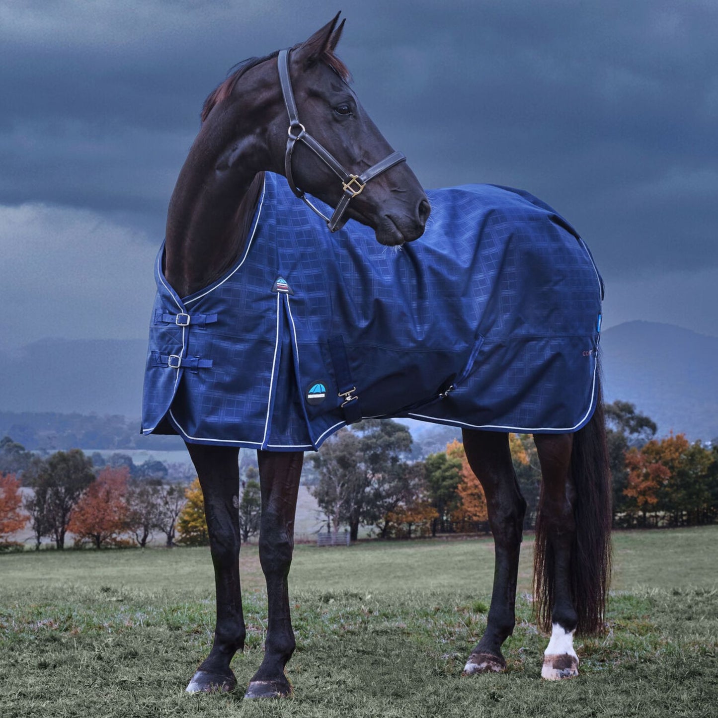 Weatherbeeta ComFiTec Prelim Turnout 220g Navy Embossed Plaid