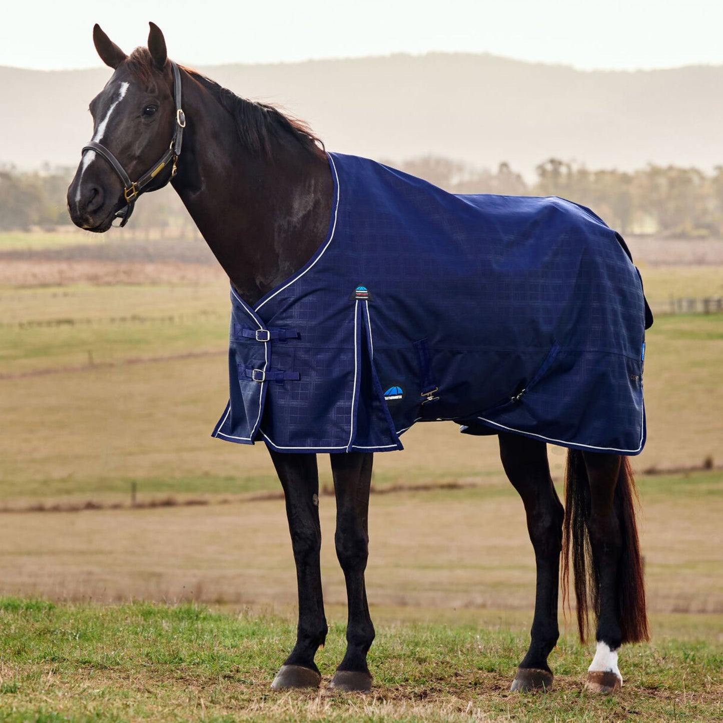 Weatherbeeta ComFiTec Prelim Turnout 220g Navy Embossed Plaid