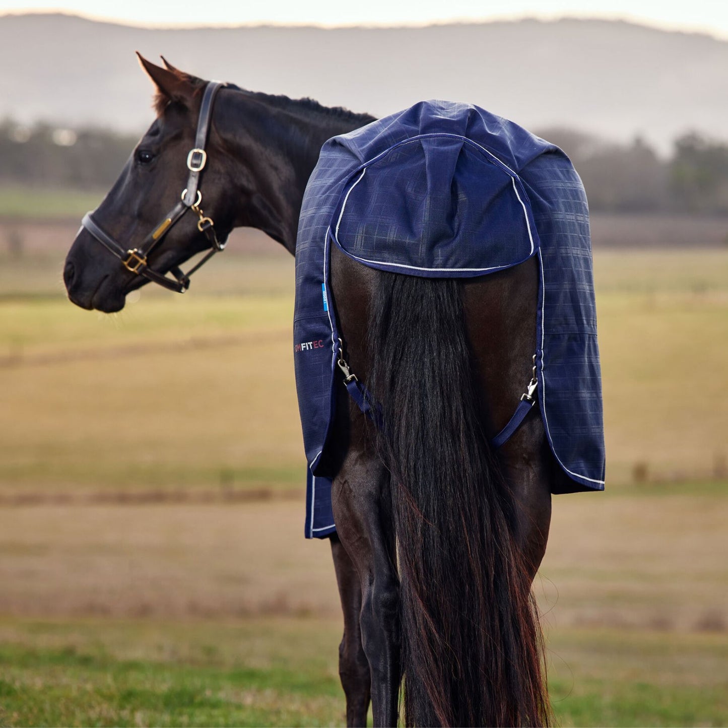 Weatherbeeta ComFiTec Prelim Turnout 220g Navy Embossed Plaid