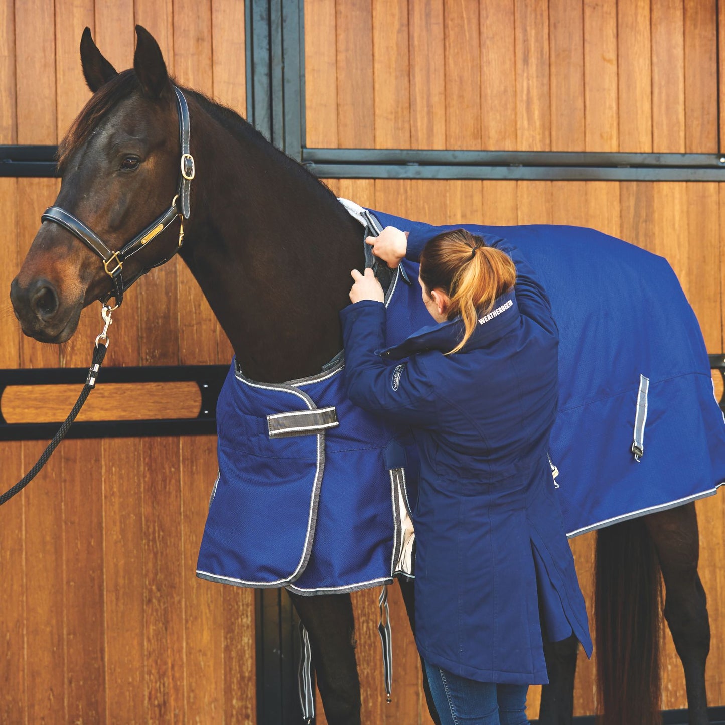 Weatherbeeta ComFiTec Premier Free II Detach-A-Neck Medium/Lite 100g Dark Blue/Grey/White