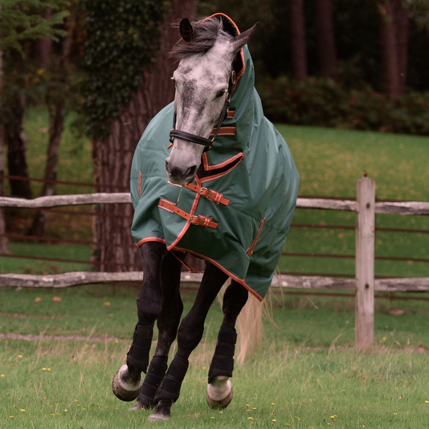Weatherbeeta ComFiTec Tyro Combo Medium Green/Burnt Orange/White