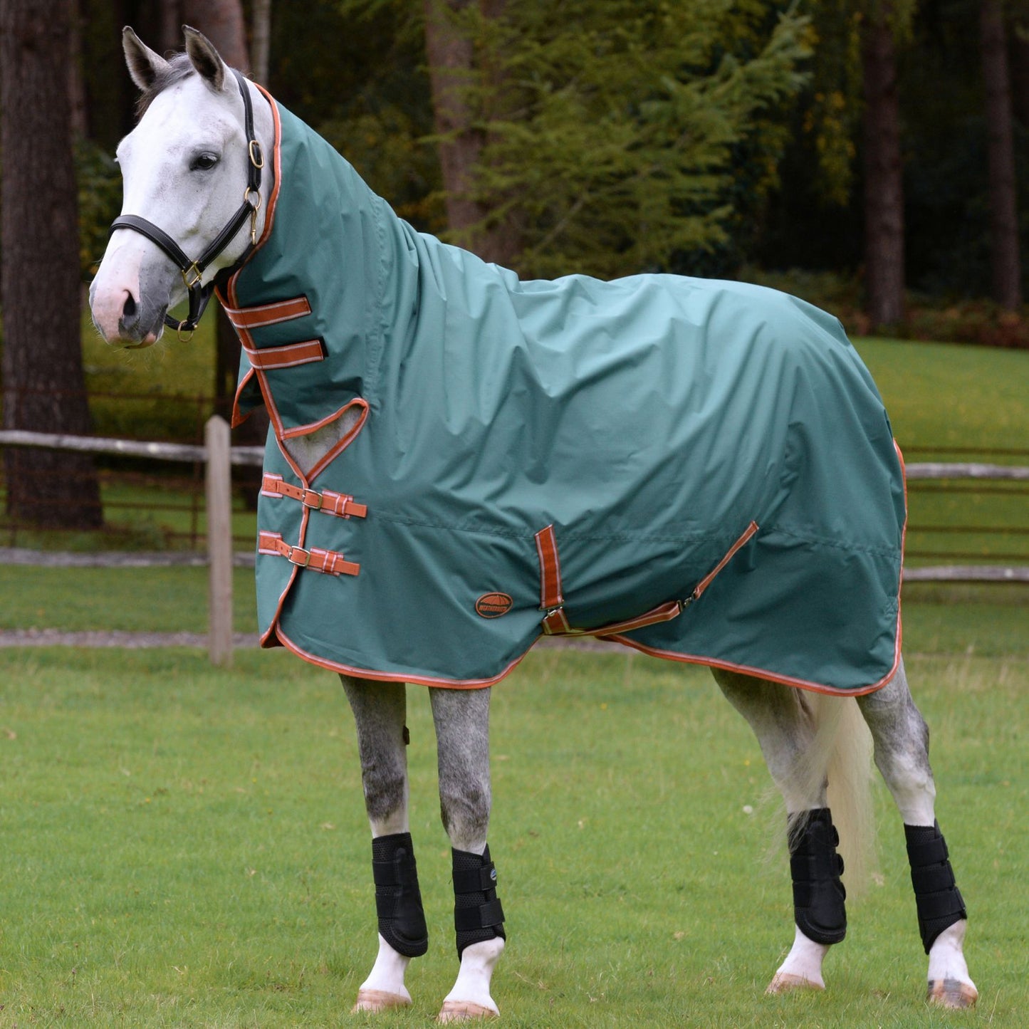 Weatherbeeta ComFiTec Tyro Combo Medium Green/Burnt Orange/White