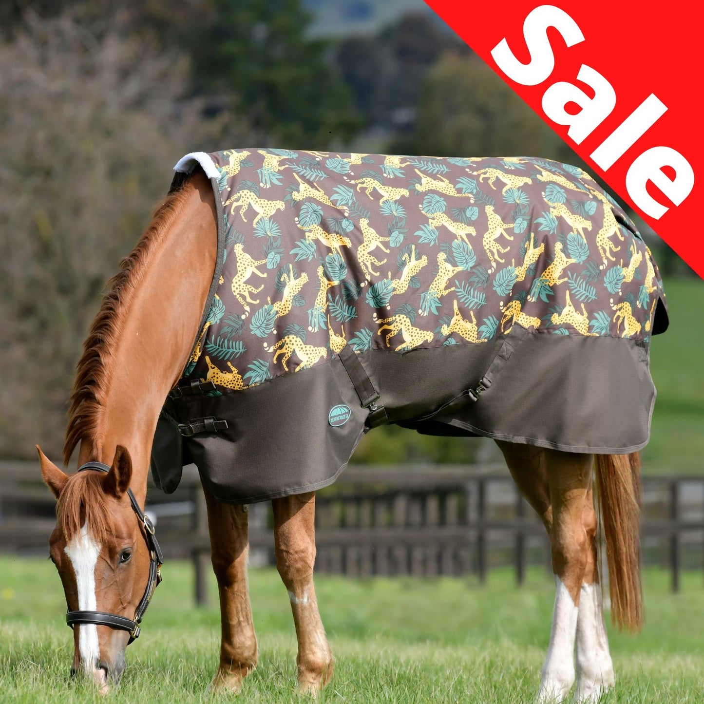 Weatherbeeta ComFiTec Tyro Standard Medium Jungle Print