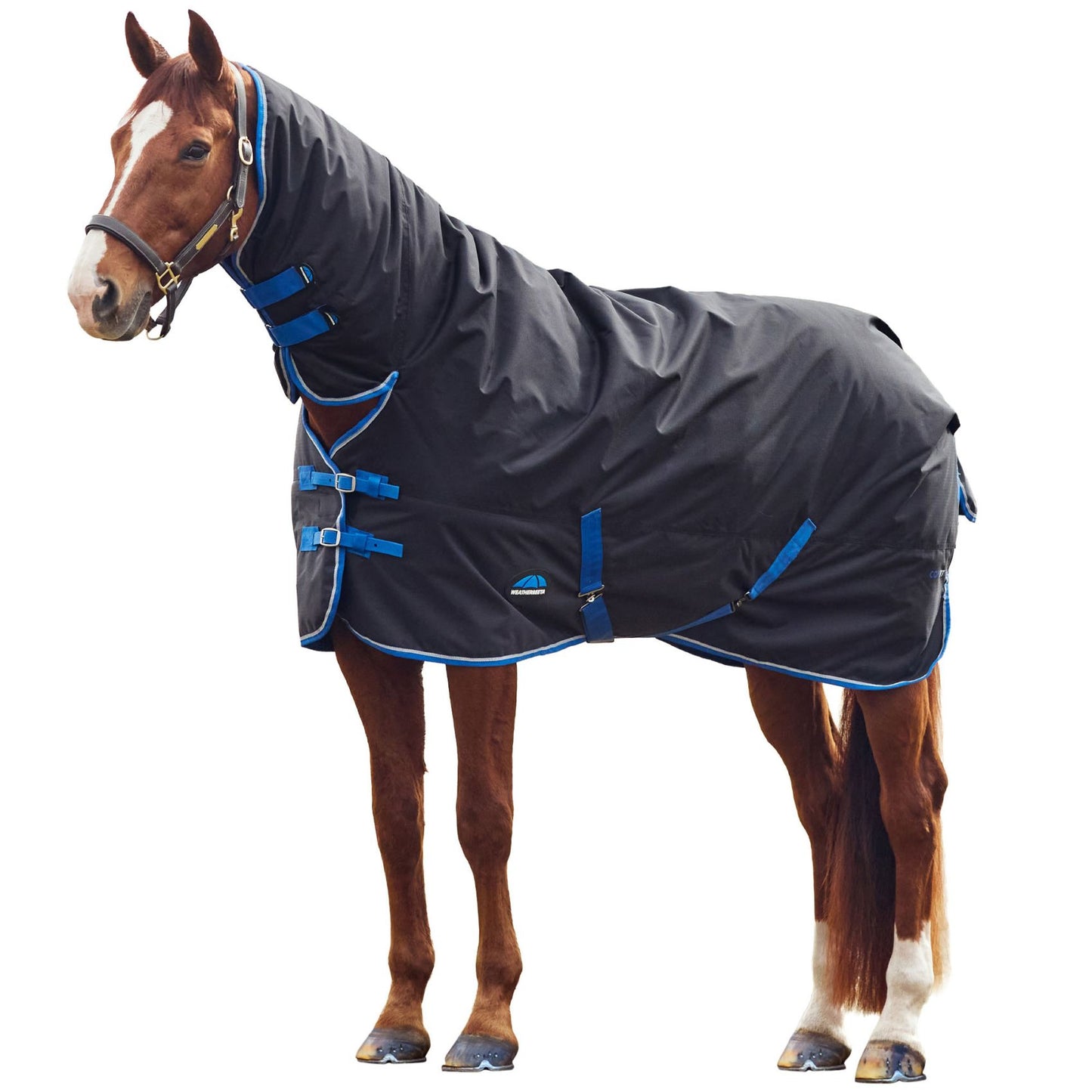 Weatherbeeta ComFiTec Tyro Turnout Combo 220g