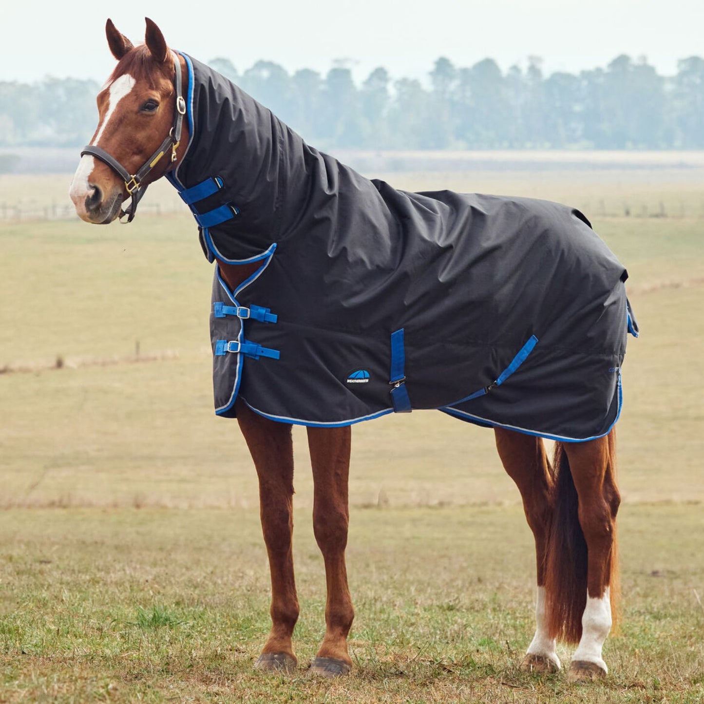 Weatherbeeta ComFiTec Tyro Turnout Combo 220g