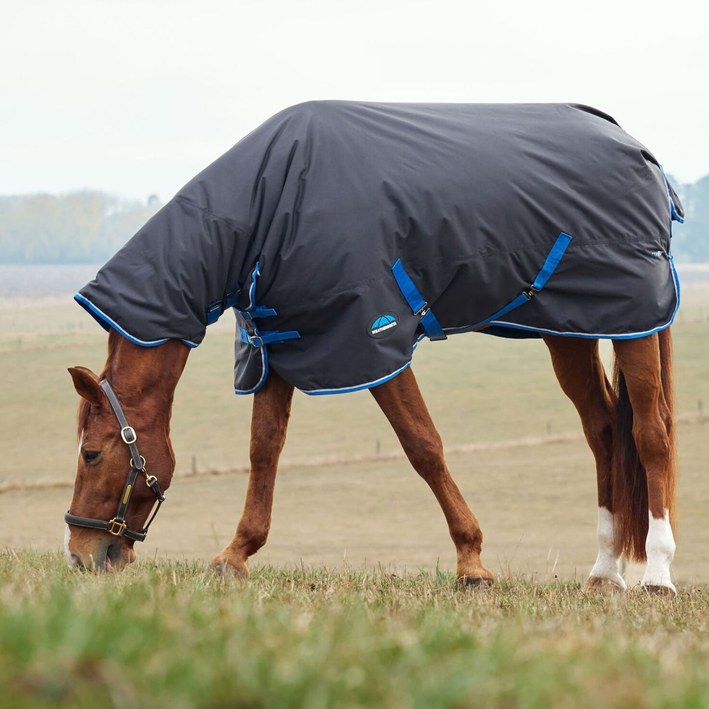 Weatherbeeta ComFiTec Tyro Turnout Combo 220g