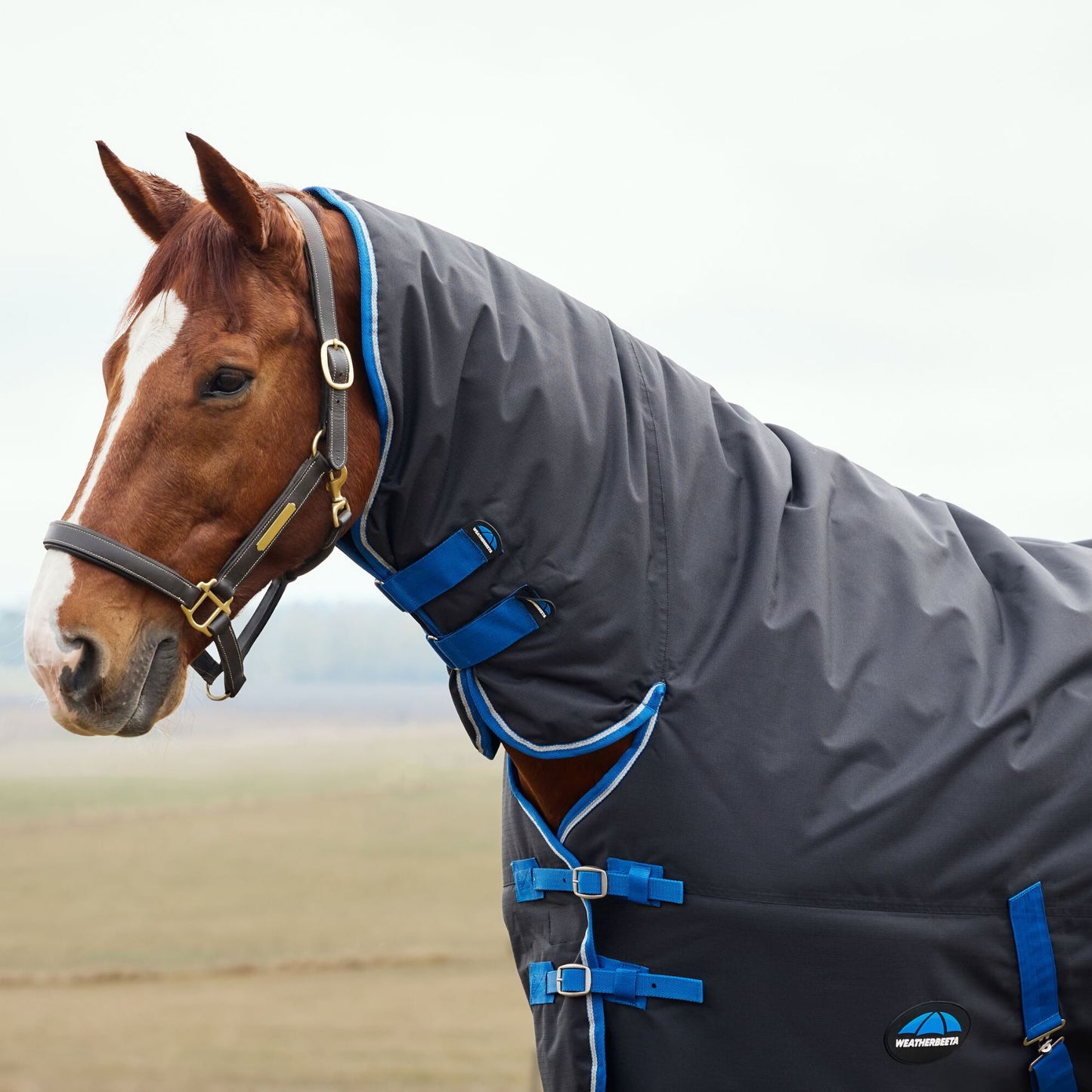 Weatherbeeta ComFiTec Tyro Turnout Combo 220g