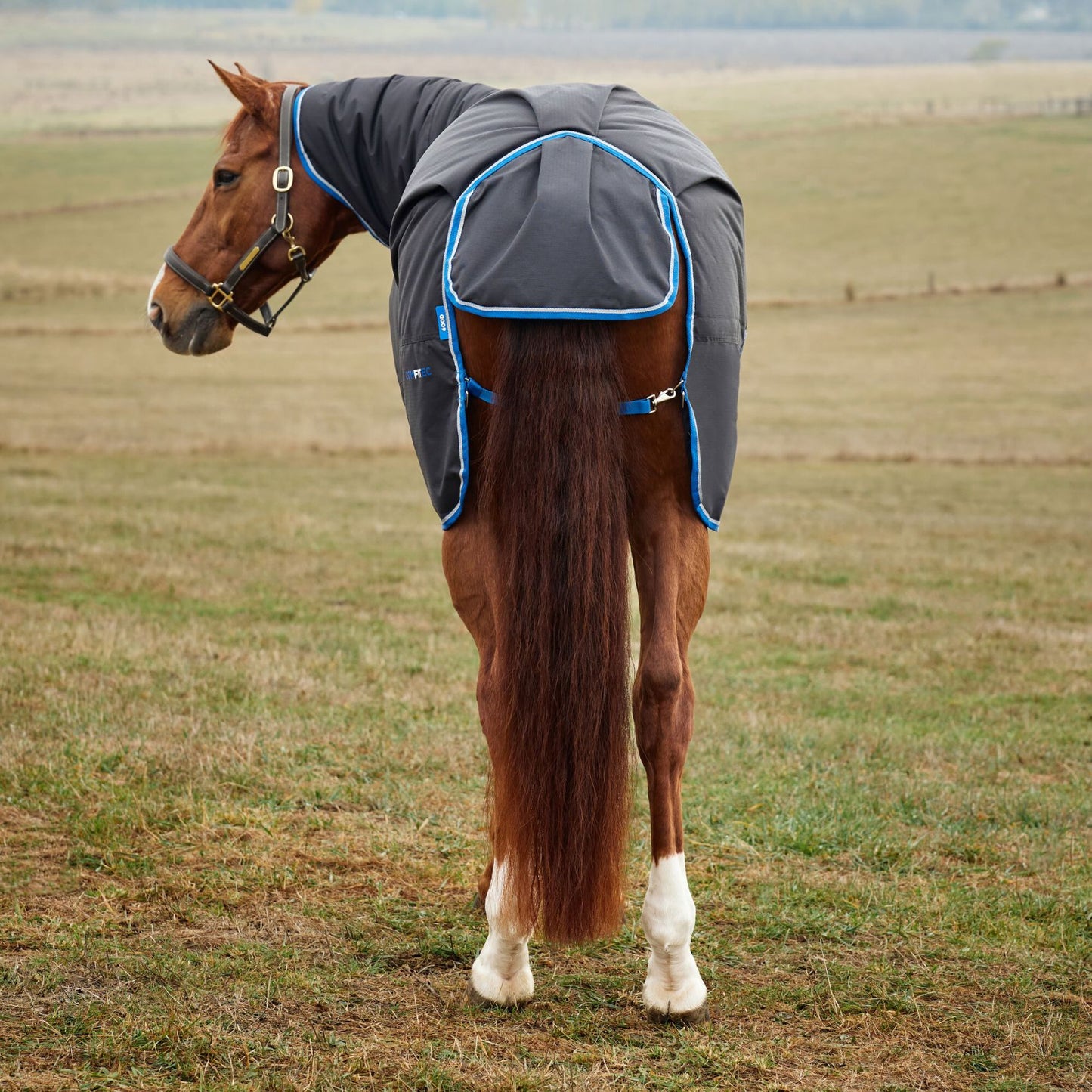 Weatherbeeta ComFiTec Tyro Turnout Combo 220g