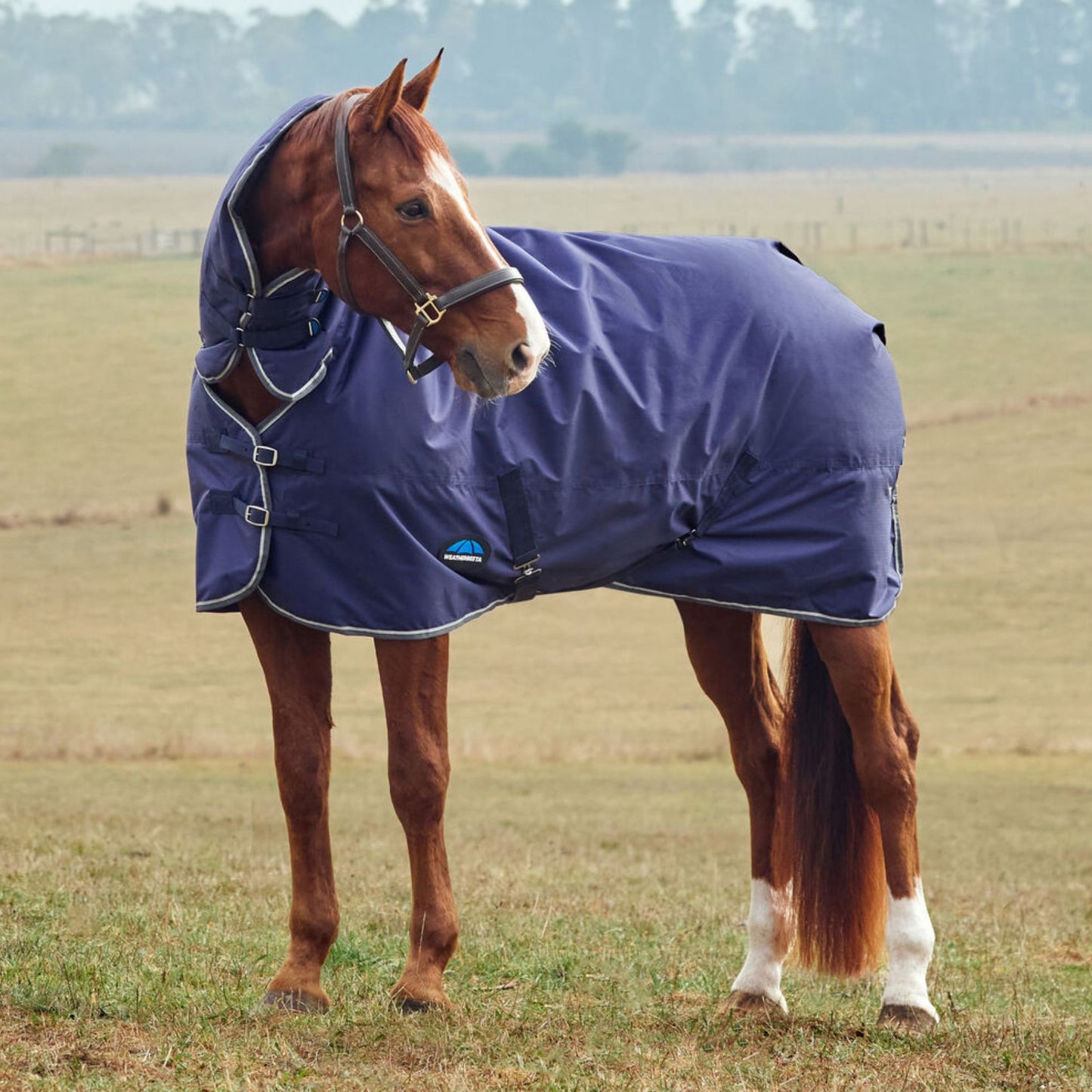 Weatherbeeta ComFiTec Tyro Turnout Combo 360g Navy/Charcoal