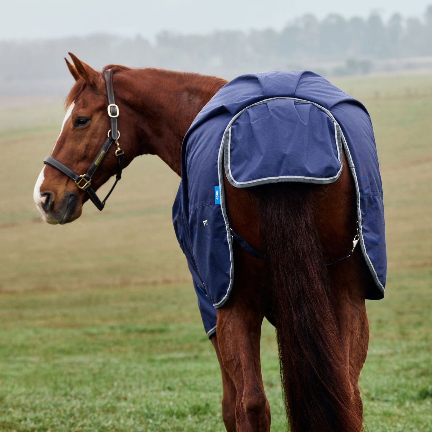 Weatherbeeta ComFiTec Tyro Turnout 50g Navy/Charcoal