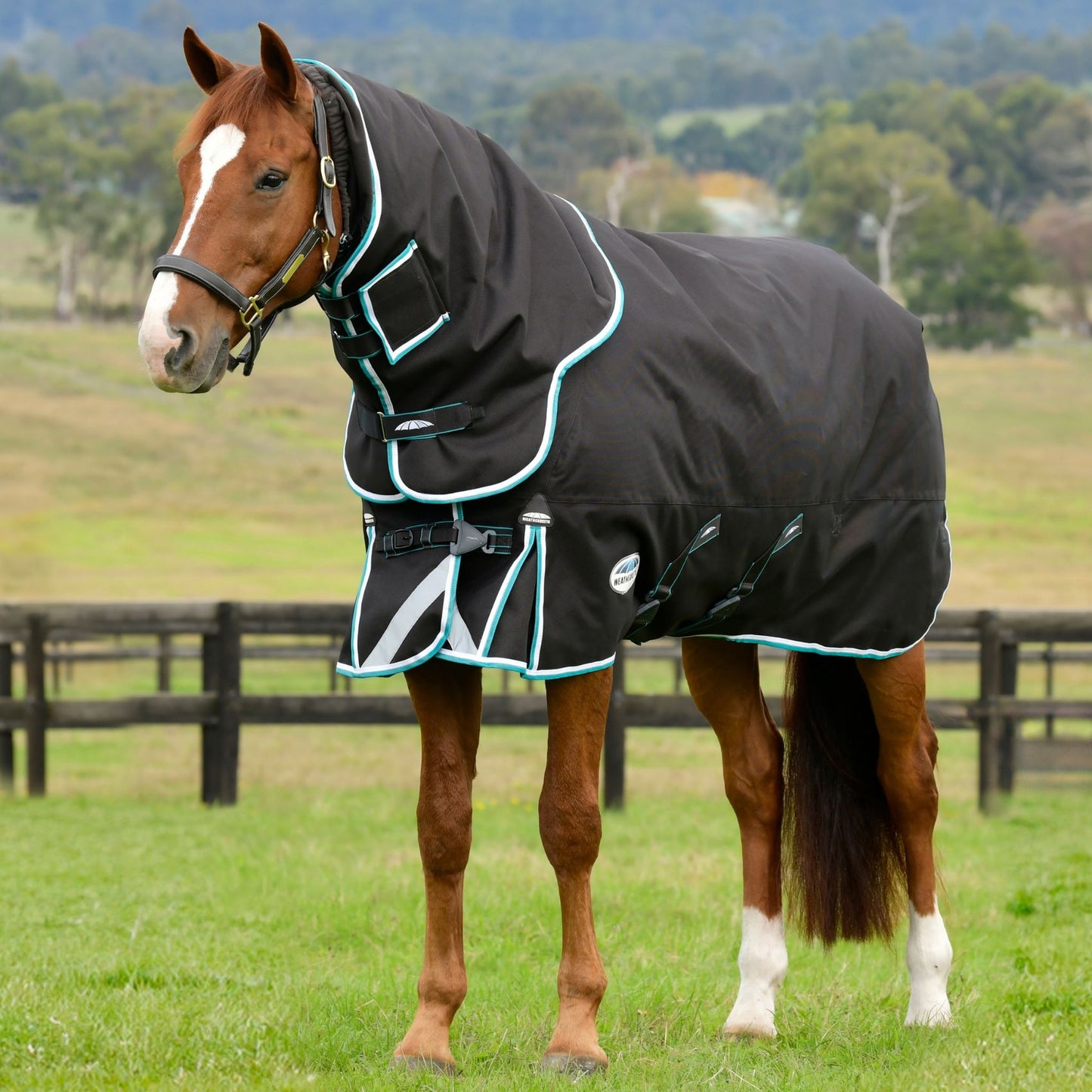 Weatherbeeta ComFiTec Ultra Comfi Detach-A-Neck Medium/Lite 100g Charcoal/Teal Blue/White