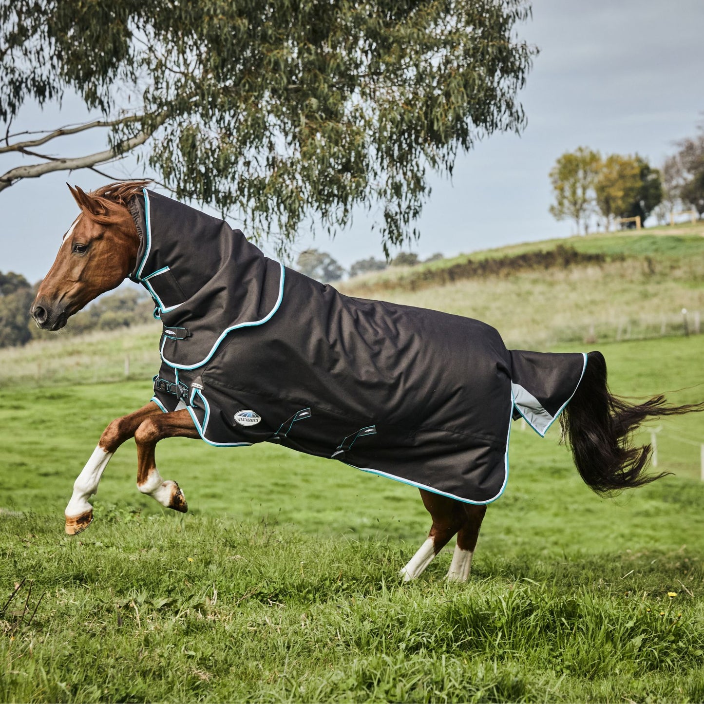 Weatherbeeta ComFiTec Ultra Comfi Detach-A-Neck Medium/Lite 100g Charcoal/Teal Blue/White