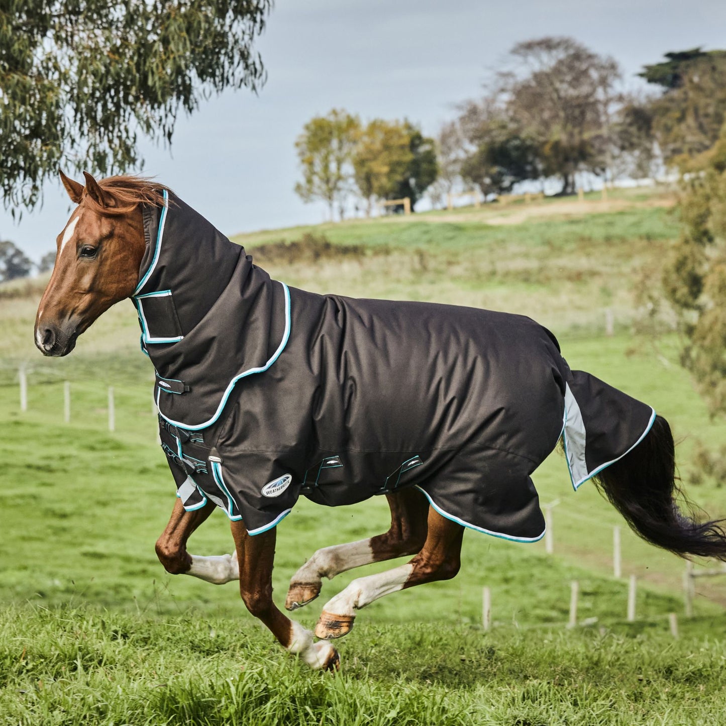 Weatherbeeta ComFiTec Ultra Comfi Detach-A-Neck Medium/Lite 100g Charcoal/Teal Blue/White