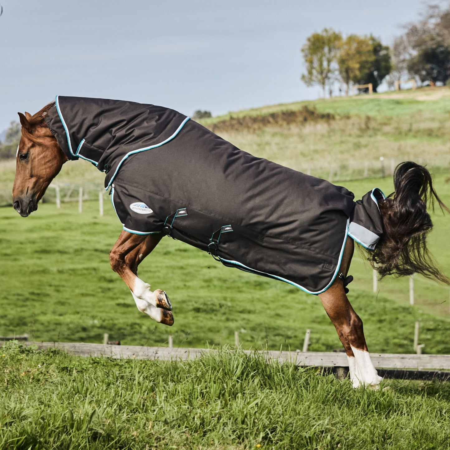 Weatherbeeta ComFiTec Ultra Comfi Detach-A-Neck Medium/Lite 100g Charcoal/Teal Blue/White