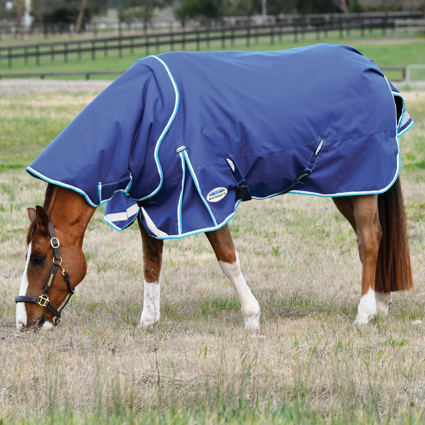Weatherbeeta ComFiTec Ultra Hardi Detach-A-Neck Medium/Lite 100g Blue/Bright Blue/White