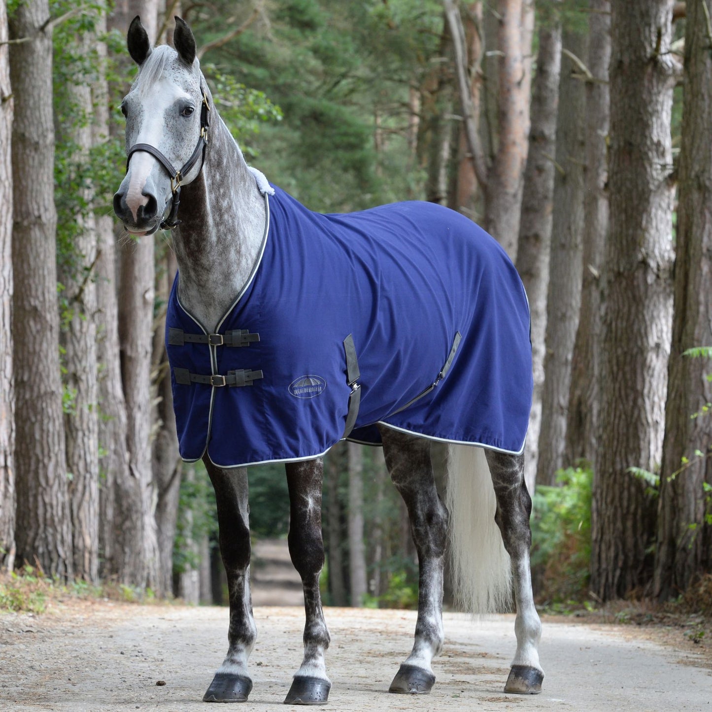 Weatherbeeta Cotton Show Sheet with Surcingles Dark Blue/Grey/White