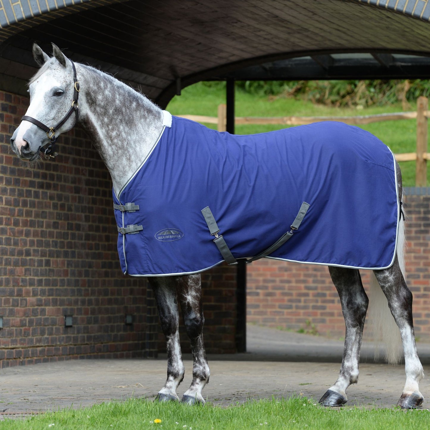Weatherbeeta Cotton Show Sheet with Surcingles Dark Blue/Grey/White
