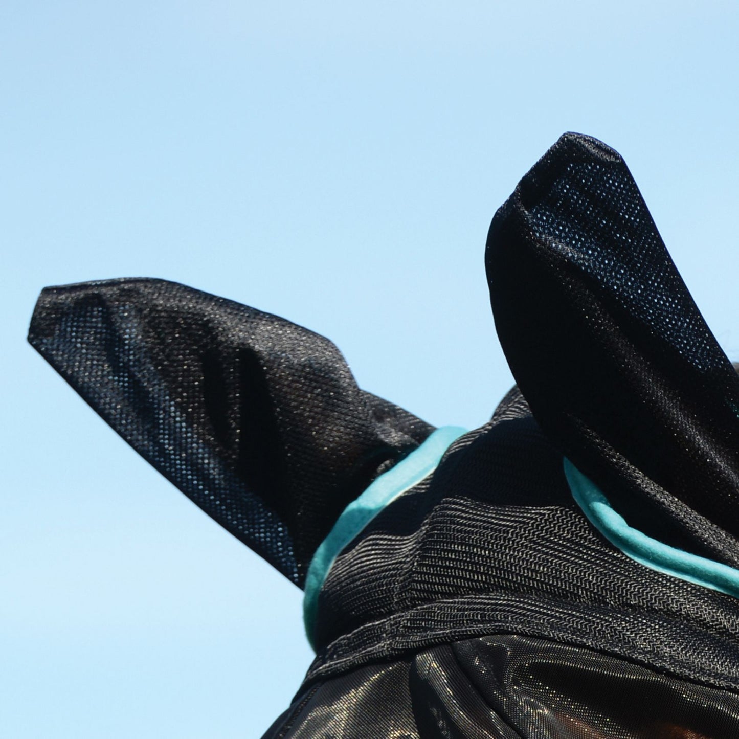 Weatherbeeta ComFiTec Deluxe Fine Mesh Mask with Ears & Tassels Black/Turquoise