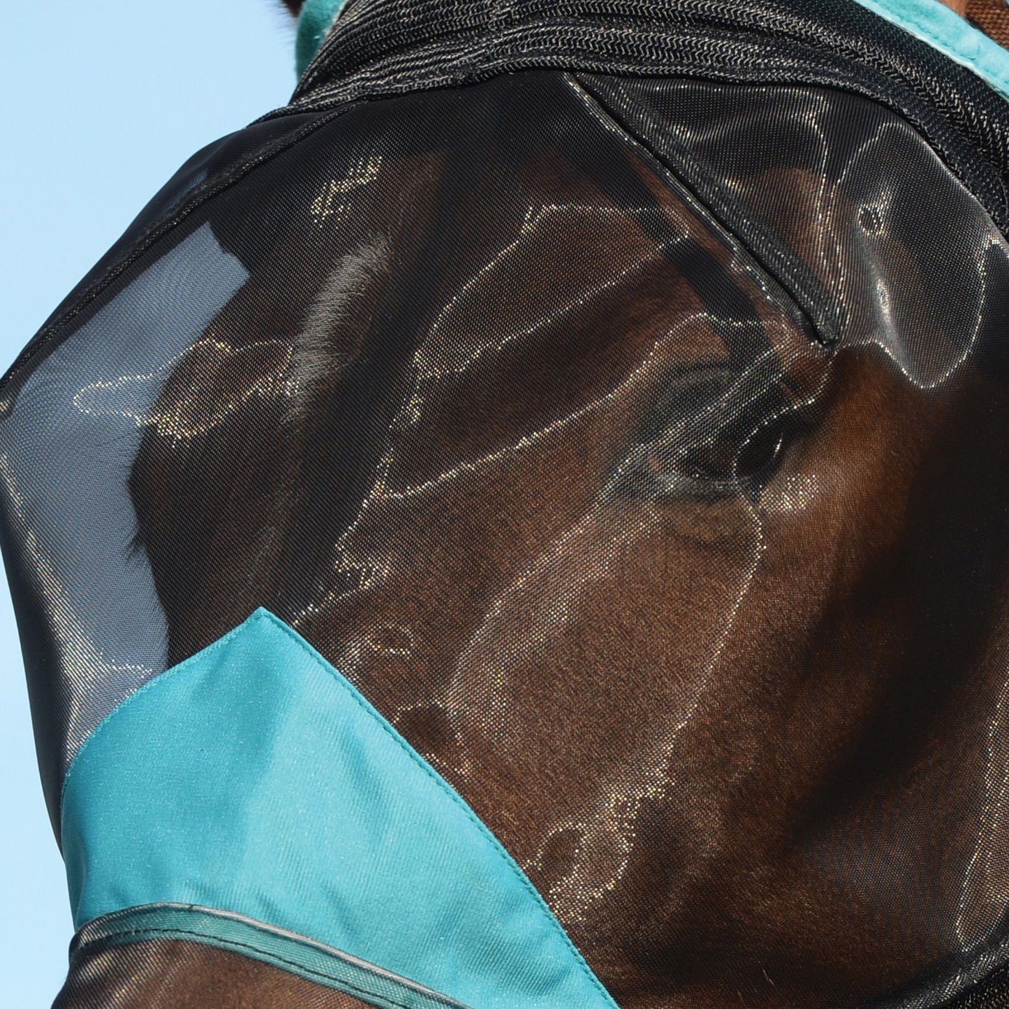 Weatherbeeta ComFiTec Deluxe Fine Mesh Mask with Ears & Tassels Black/Turquoise
