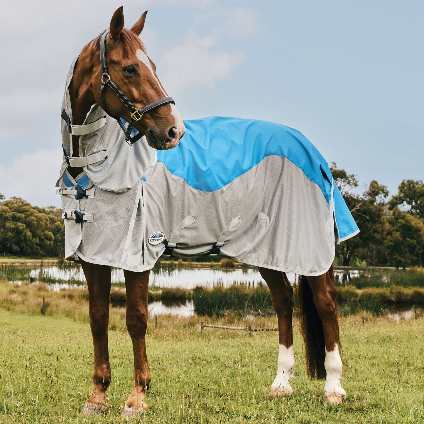 Weatherbeeta ComFiTec Dual Shield Detach-A-Neck Blue/Grey