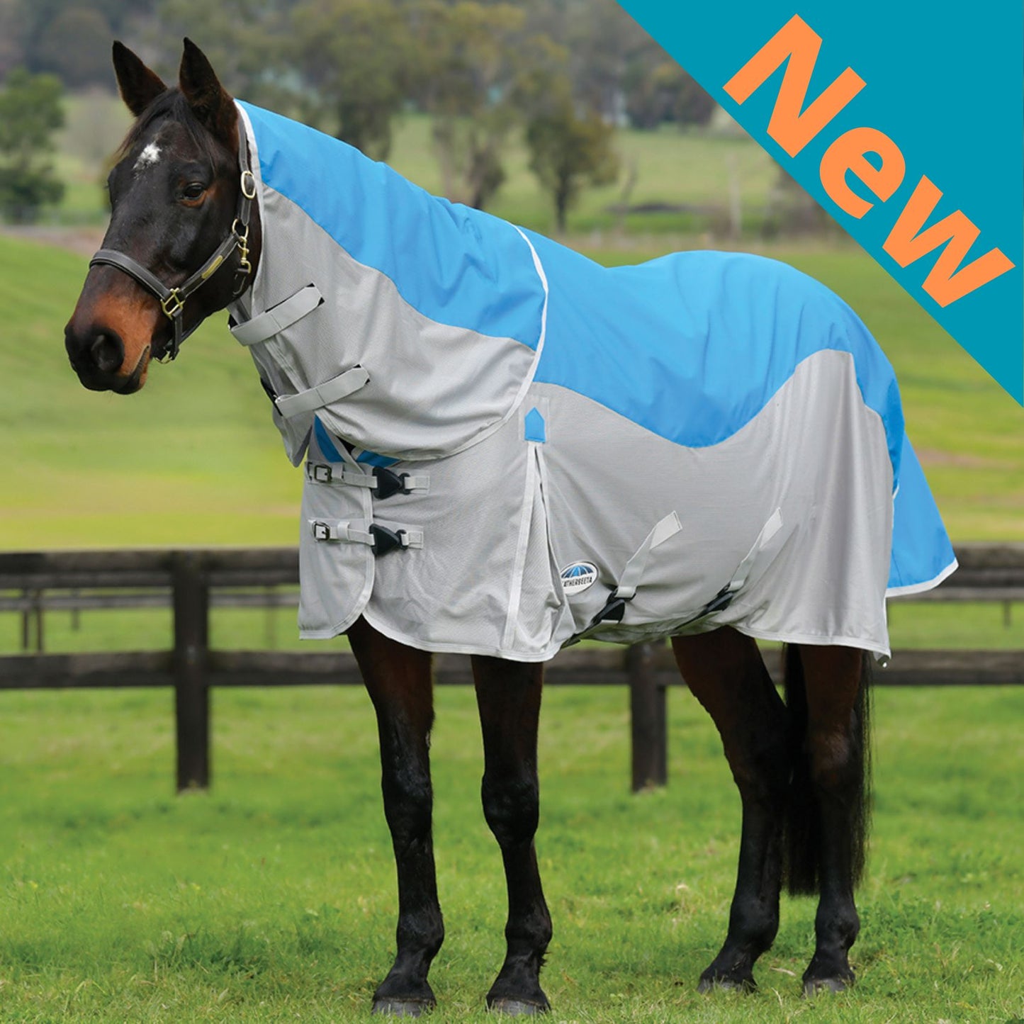 Weatherbeeta ComFiTec Dual Shield Detach-A-Neck Blue/Grey
